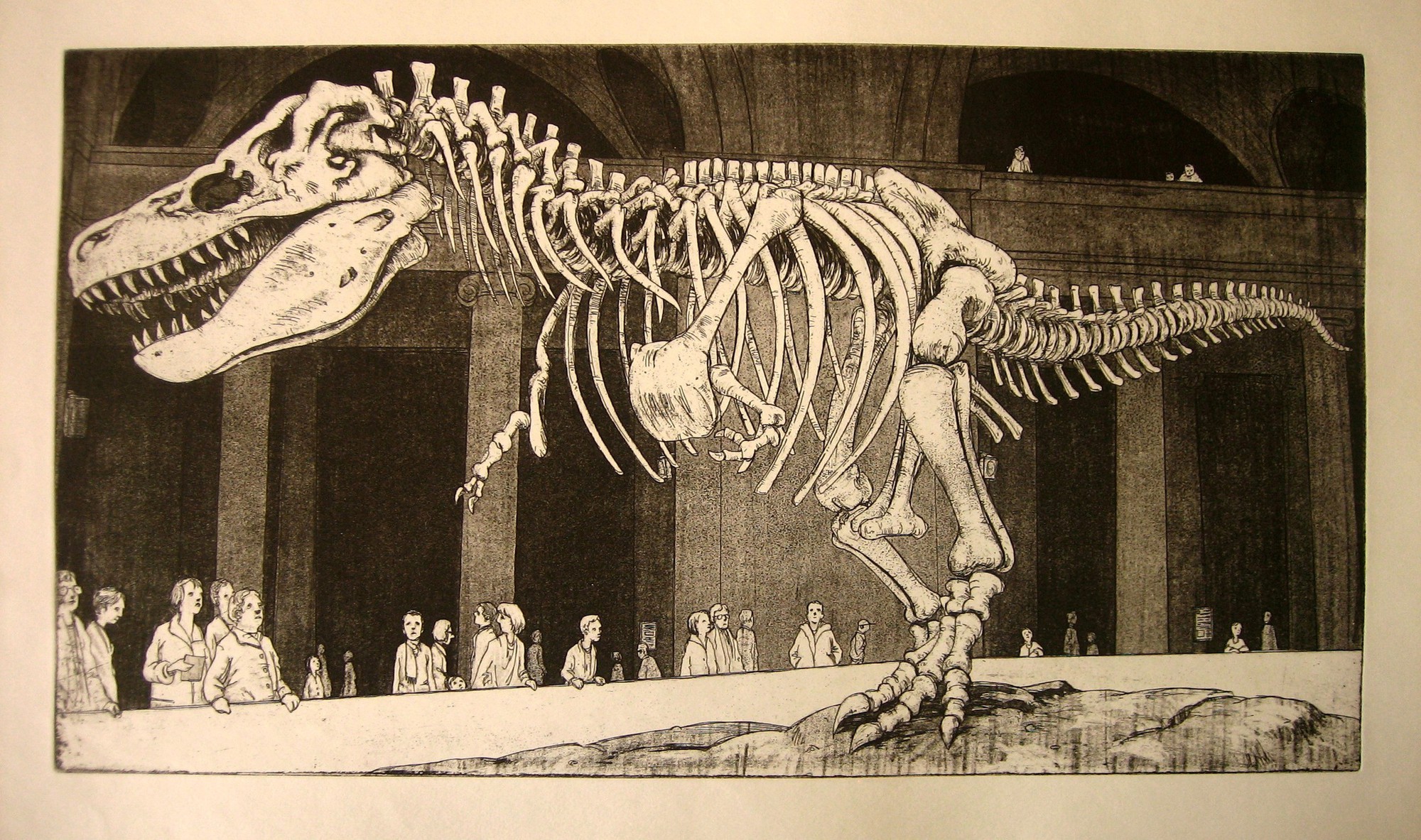 Bộ xương khủng long T. rex 'Sue' trưng bày tại bảo tàng