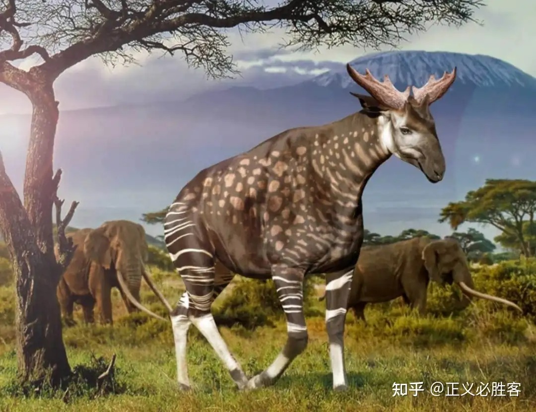 Homo sapiens là cư dân bản địa châu Phi