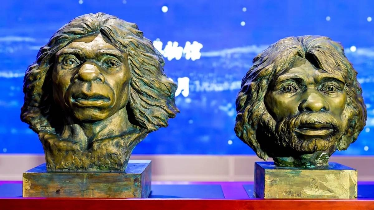 Phục dựng hộp sọ cổ bằng công nghệ hiện đại