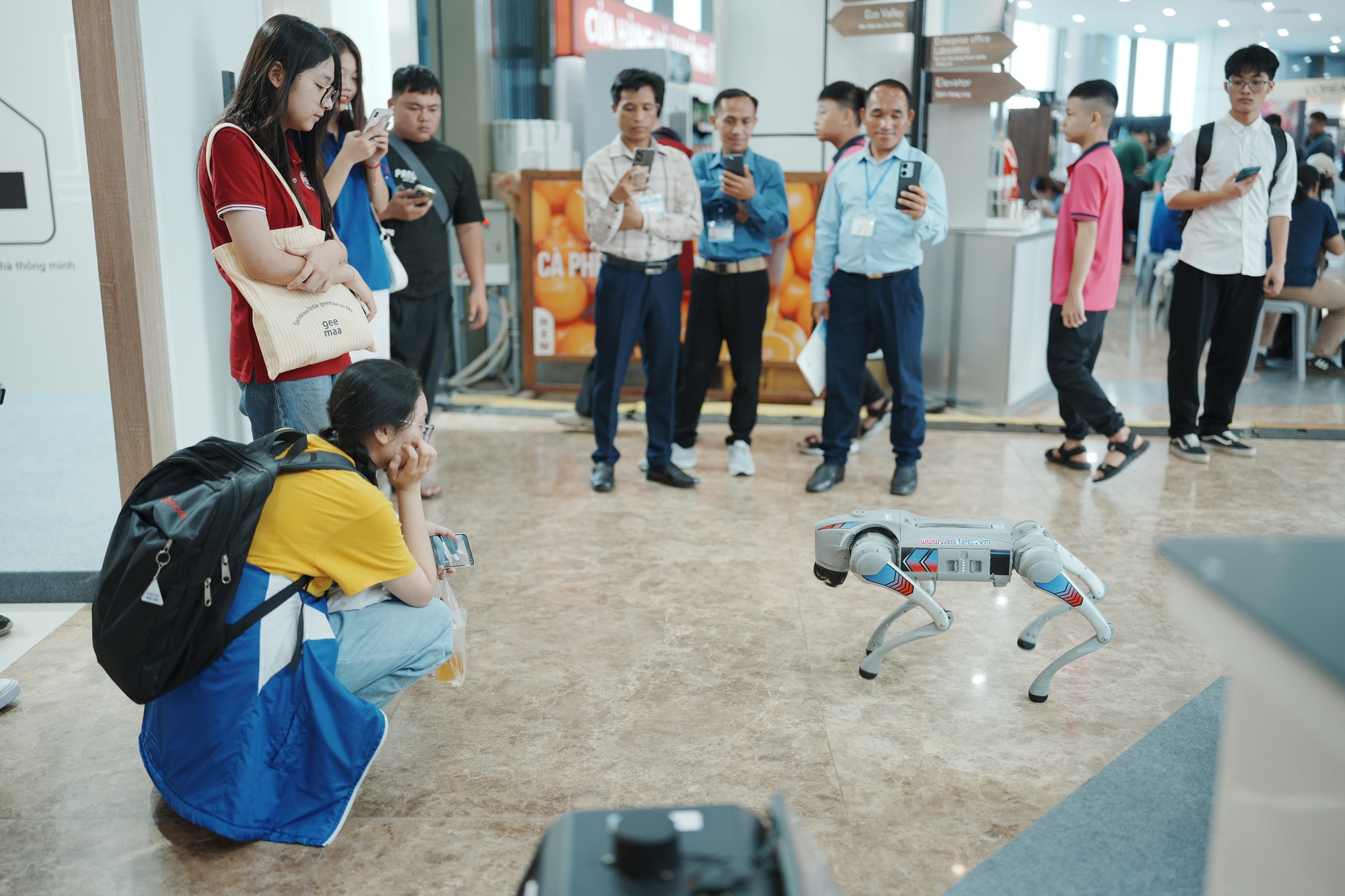 Robot vận chuyển tự động trình diễn