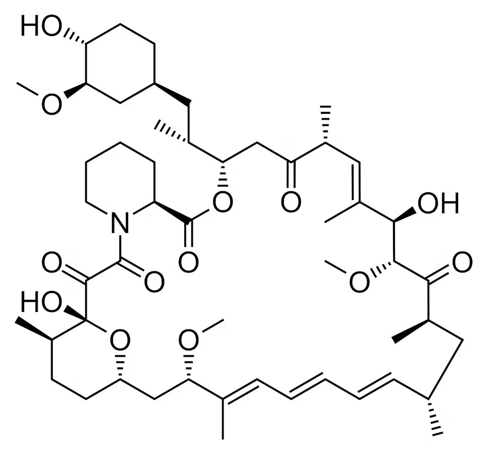 Cấu trúc hóa học của rapamycin.