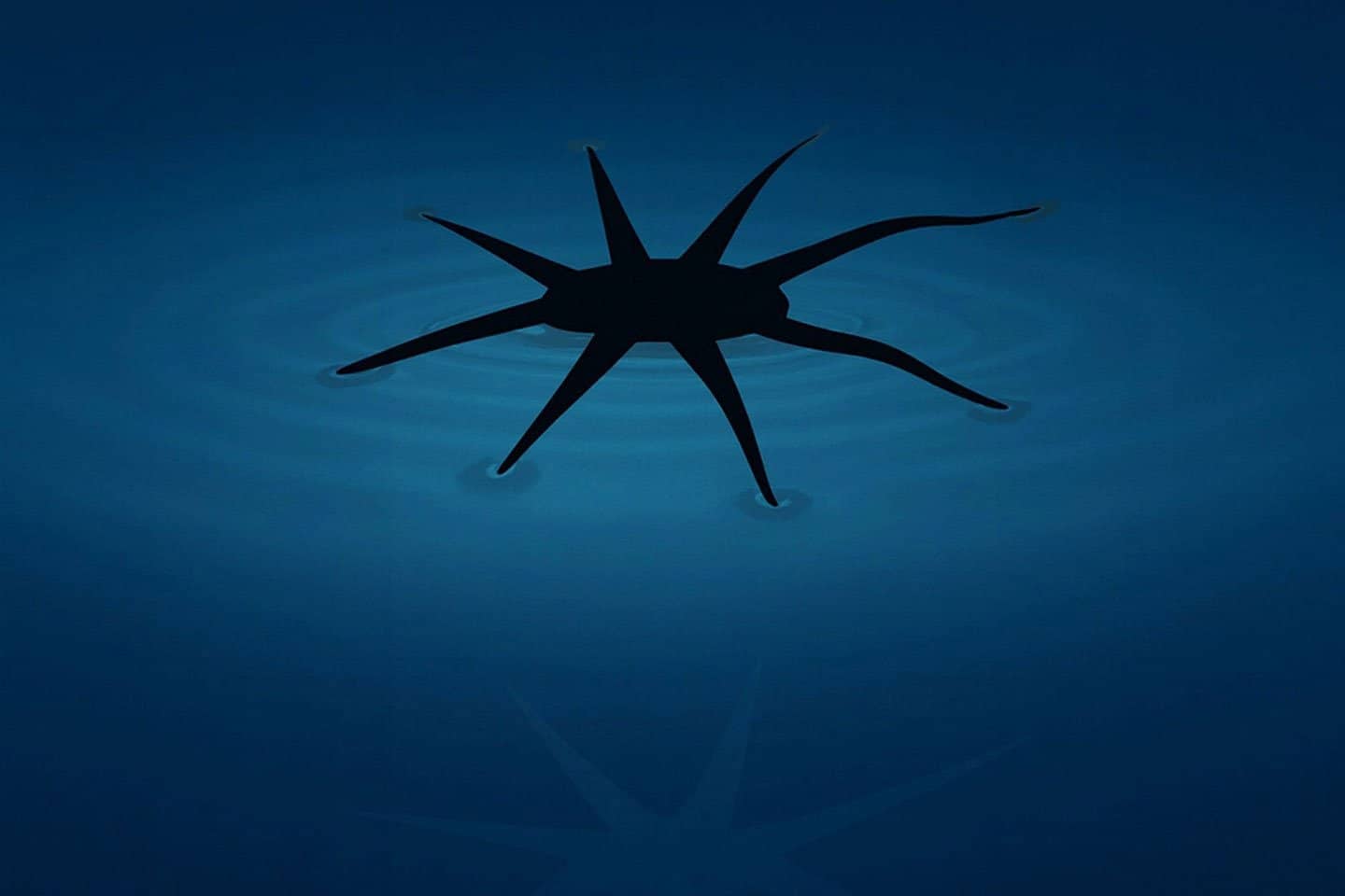 Laser khắc vật liệu mềm trên mặt nước