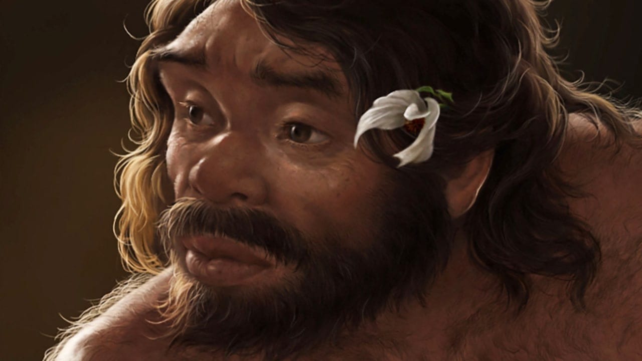 Cây tiến hóa loài người phức tạp