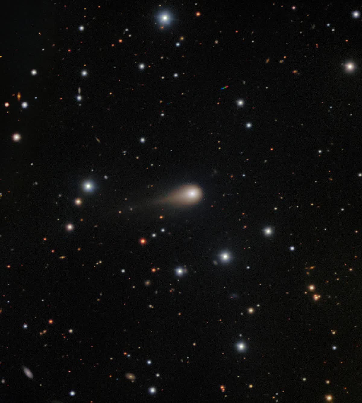 Sao chỗi di chuyển rõ nét so với nền sao tĩnh