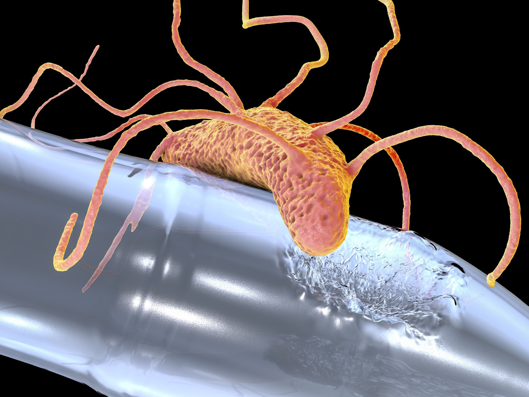 Nghiên cứu vi khuẩn vùng lạnh có khả năng ăn nhựa