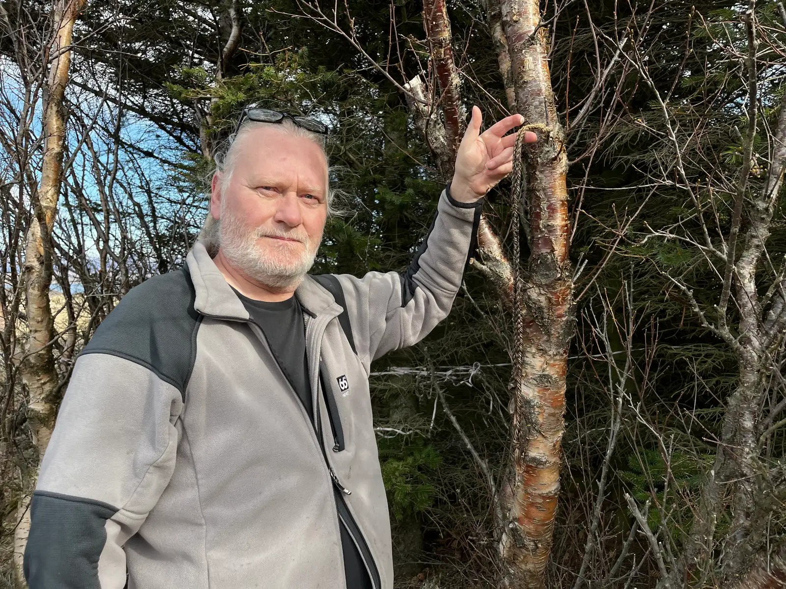 Ông Björn sử dụng dây tết nhúng rượu vang đỏ để bẫy côn trùng