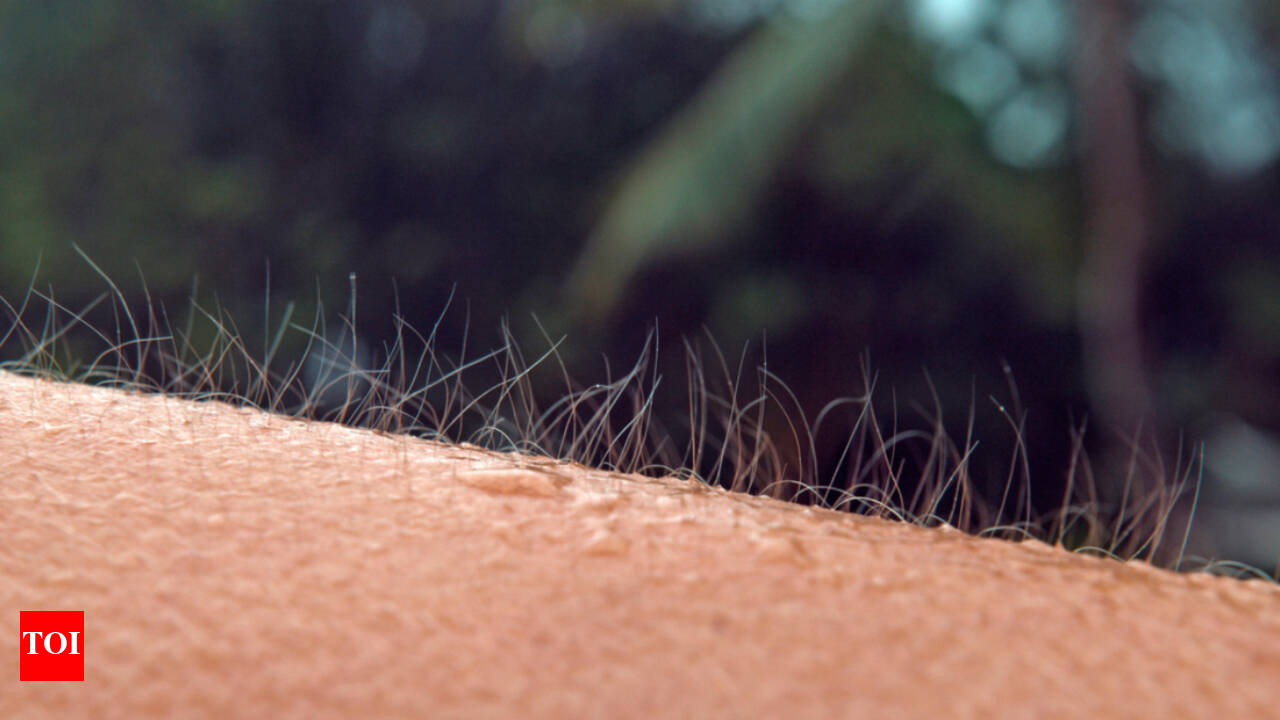 Phản xạ nổi da gà trên cánh tay