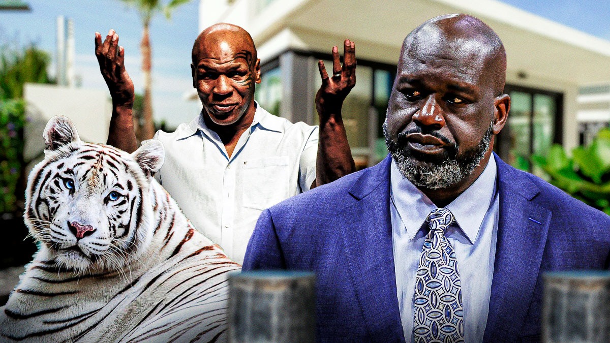 Hổ với lớp cơ dày và hộp sọ cứng