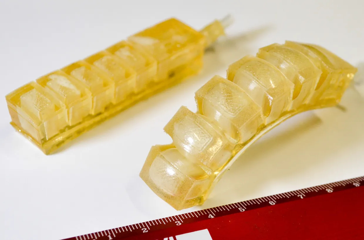 Robot mềm dùng cho động vật hoang dã Robot mềm phục vụ động vật hoang dã